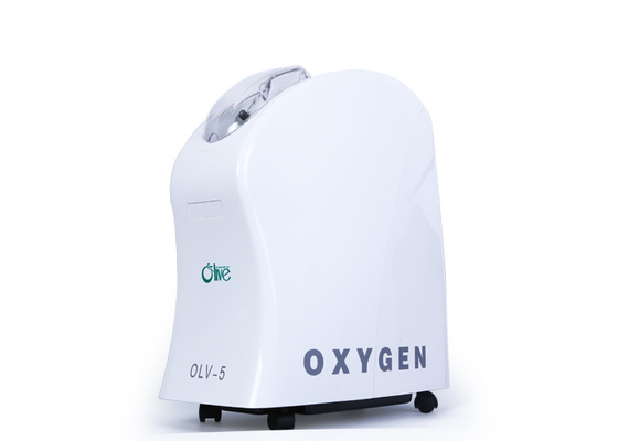 Yüksek Oksijen Saflık Taşınabilir Hava Konsantratörü, Küçük Taşınabilir Oksijen Konsantratörler